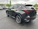 Thumbnail image of 2022 Lexus NX 350h at Keeler Motor Company Honda