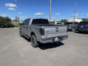 Thumbnail image of 2013 Ford F-150 at FREEDOM MOTORWERKS