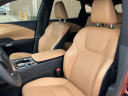 Thumbnail image of 2023 Lexus RX 350 at FergusonBuickGmc Used