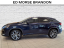 Thumbnail image of 2022 Lexus RX 350 at Brandon Auto Mall By Ed Morse