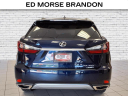 Thumbnail image of 2022 Lexus RX 350 at Brandon Auto Mall By Ed Morse