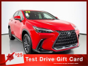 2024 Lexus NX 250 Base at Toyota Scion of Tampa Bay