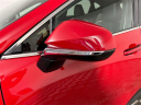 Thumbnail image of 2024 Lexus NX 250 at Toyota Scion of Tampa Bay