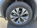 Thumbnail image of 2023 Nissan Rogue at Nissan of Westbury