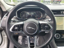 Thumbnail image of 2023 Jaguar F-PACE at Seelye of Pawpaw