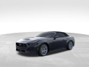 Thumbnail image of 2024 Ford Mustang at City World Ford