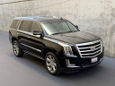 Thumbnail image of 2019 Cadillac Escalade at PRO MOTORCARS