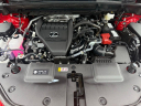 Thumbnail image of 2025 Lexus NX 350 at Northtown Lexus