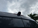 Thumbnail image of 2021 Mercedes-Benz Sprinter at University Dodge Ram