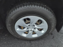 Thumbnail image of 2019 Toyota RAV4 at Gary Mathews Motors