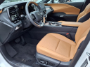 Thumbnail image of 2024 Lexus RX 350 at Ray Catena Lexus Monmouth