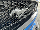 Thumbnail image of 2019 Ford Mustang at Interstate Auto Sales WR