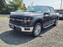 Thumbnail image of 2024 Ford F-150 at Liccardi Ford Inc