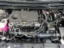 Thumbnail image of 2023 Toyota Sienna at Toyota Of North Charleston Used