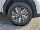 Thumbnail image of 2024 Hyundai TUCSON Hybrid at Langdale Hyundai
