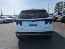 Thumbnail image of 2024 Hyundai TUCSON Hybrid at Langdale Hyundai