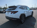 Thumbnail image of 2024 Hyundai TUCSON Hybrid at Langdale Hyundai