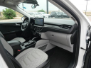 Thumbnail image of 2023 Ford Escape Hybrid at North Park Lexus Rio Grande Valley - NEW