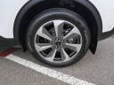 Thumbnail image of 2023 Ford Escape Hybrid at North Park Lexus Rio Grande Valley - NEW