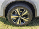 2021 Nissan Rogue SL at Lee Nissan