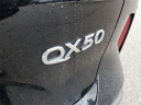 Thumbnail image of 2021 INFINITI QX50 at Grand Blanc Nissan