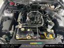 Thumbnail image of 2007 Ford Shelby GT500 at Nelson Mazda