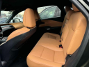 Thumbnail image of 2024 Lexus RX 350 at Lexus of Freeport