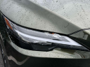Thumbnail image of 2024 Lexus RX 350 at Lexus of Freeport