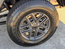 Thumbnail image of 2024 Jeep Gladiator at Dick Smith Nissan Of Lexington
