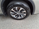 Thumbnail image of 2022 Lexus RX 350 at Tri-County Lexus
