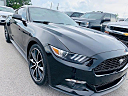 Thumbnail image of 2016 Ford Mustang at SRQ BROTHERS AUTO SALES INC
