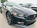 2016 Ford Mustang EcoBoost at SRQ BROTHERS AUTO SALES INC
