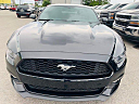 Thumbnail image of 2016 Ford Mustang at SRQ BROTHERS AUTO SALES INC