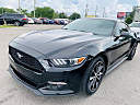 Thumbnail image of 2016 Ford Mustang at SRQ BROTHERS AUTO SALES INC