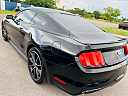 Thumbnail image of 2016 Ford Mustang at SRQ BROTHERS AUTO SALES INC