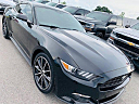 Thumbnail image of 2016 Ford Mustang at SRQ BROTHERS AUTO SALES INC