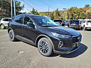2023 Ford Escape Plug-In Hybrid Base at Liccardi Ford Inc