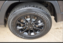 Thumbnail image of 2023 Jeep Cherokee at Wray Ford