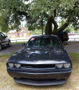 Thumbnail image of 2013 Dodge Challenger at HARRY'S AUTO SALES LLC