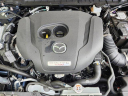 Thumbnail image of 2024 Mazda CX-50 at PiazzaMazdaReading - New