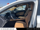 Thumbnail image of 2022 Lexus NX 350 at Stoler Lexus