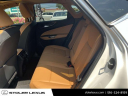 Thumbnail image of 2022 Lexus NX 350 at Stoler Lexus
