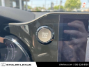 Thumbnail image of 2022 Lexus NX 350 at Stoler Lexus