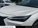 Thumbnail image of 2022 Lexus NX 350 at Stoler Lexus