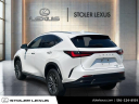 Thumbnail image of 2022 Lexus NX 350 at Stoler Lexus