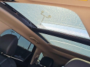 Thumbnail image of 2024 Kia Sorento at MikeMorganHyundai-NEW of Shreveport, LA