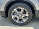 Thumbnail image of 2019 Honda CR-V at VeniceHonda - USED