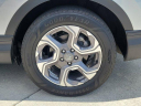 Thumbnail image of 2019 Honda CR-V at VeniceHonda - USED