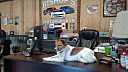 Thumbnail image of 2005 Chevrolet SSR at Bishop’s Motorsports