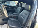 Thumbnail image of 2023 Cadillac XT5 at F C Kerbeck - New and Used